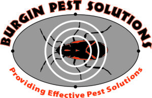 Burgin Pest Logo